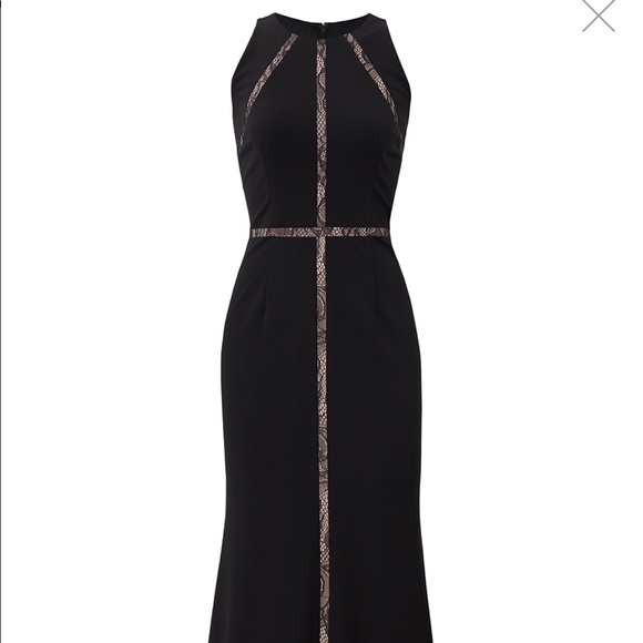 Adrianna Papell Black Insert Lace Dress Long - Picture 3 of 6